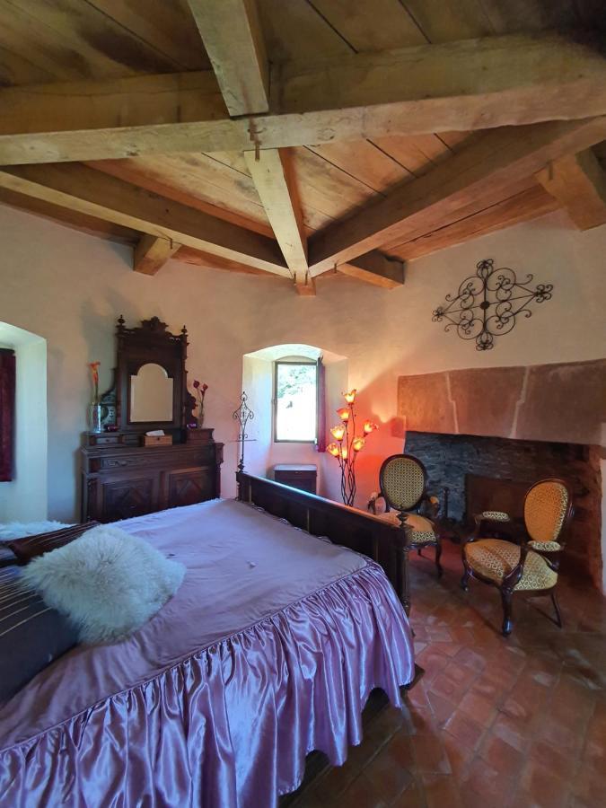 Chambre d'Hôtes au Château de Belcastel Belcastel  Exterior foto